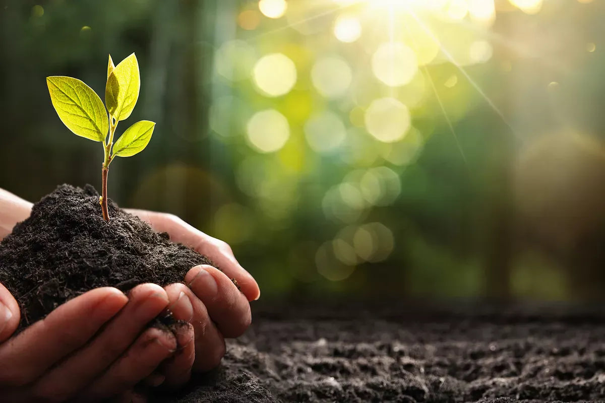 Cuisiner de manière durable? Oui, nous le pouvons!